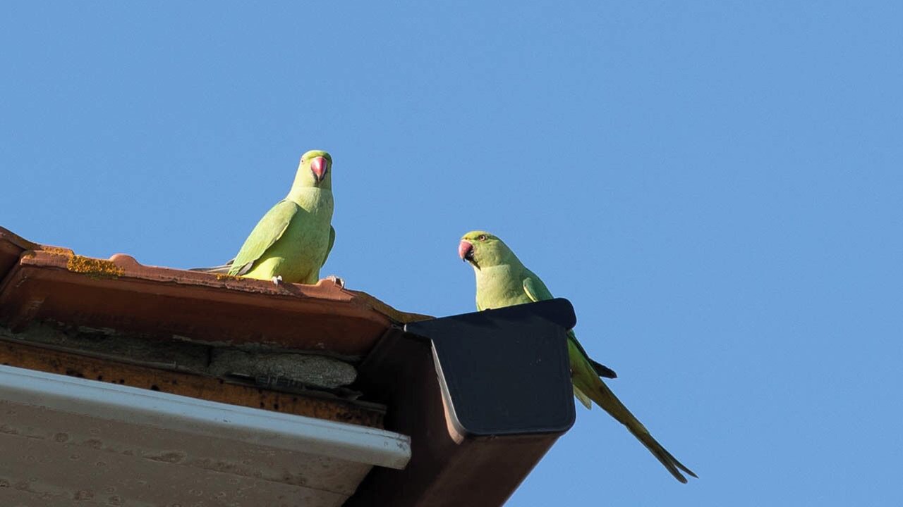 Photo of Outdoor in Zona XXV Vallerano