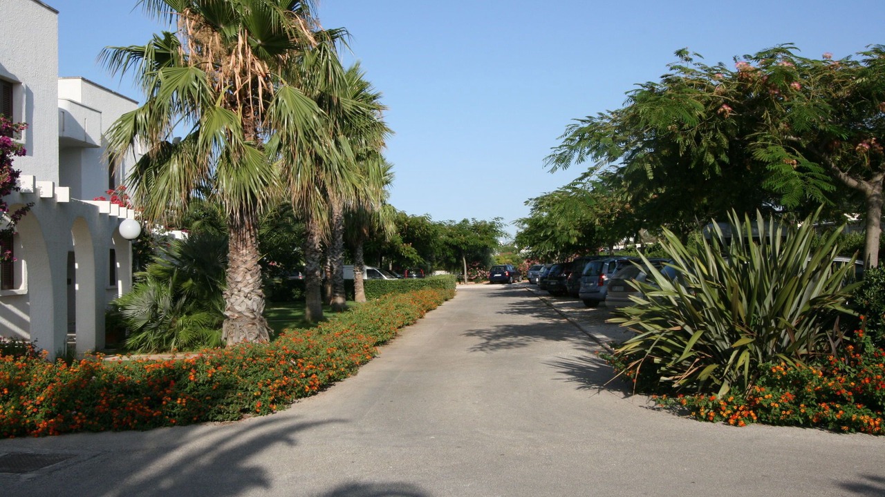 Photo of Outdoor in Villanova