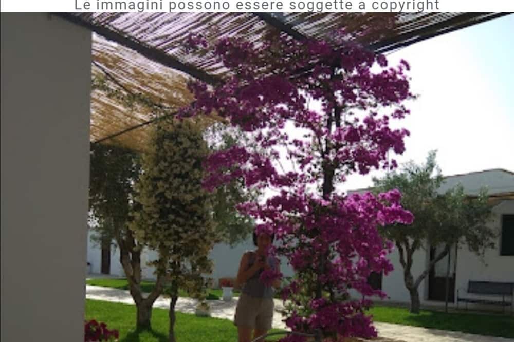 Photo of Patio Balcony in Rosa Marina