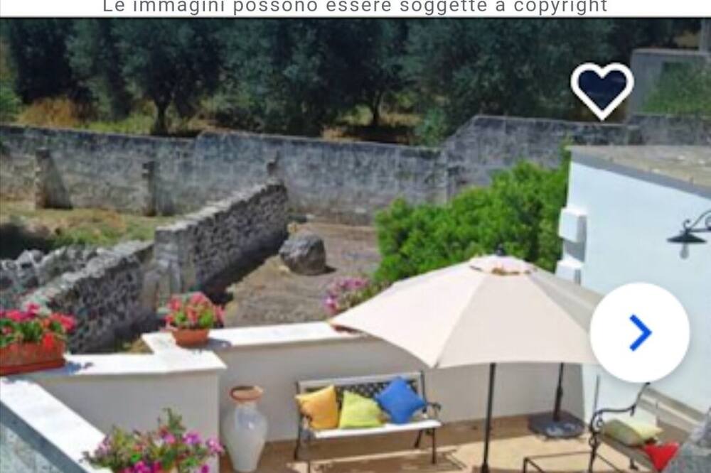 Photo of Others in Rosa Marina