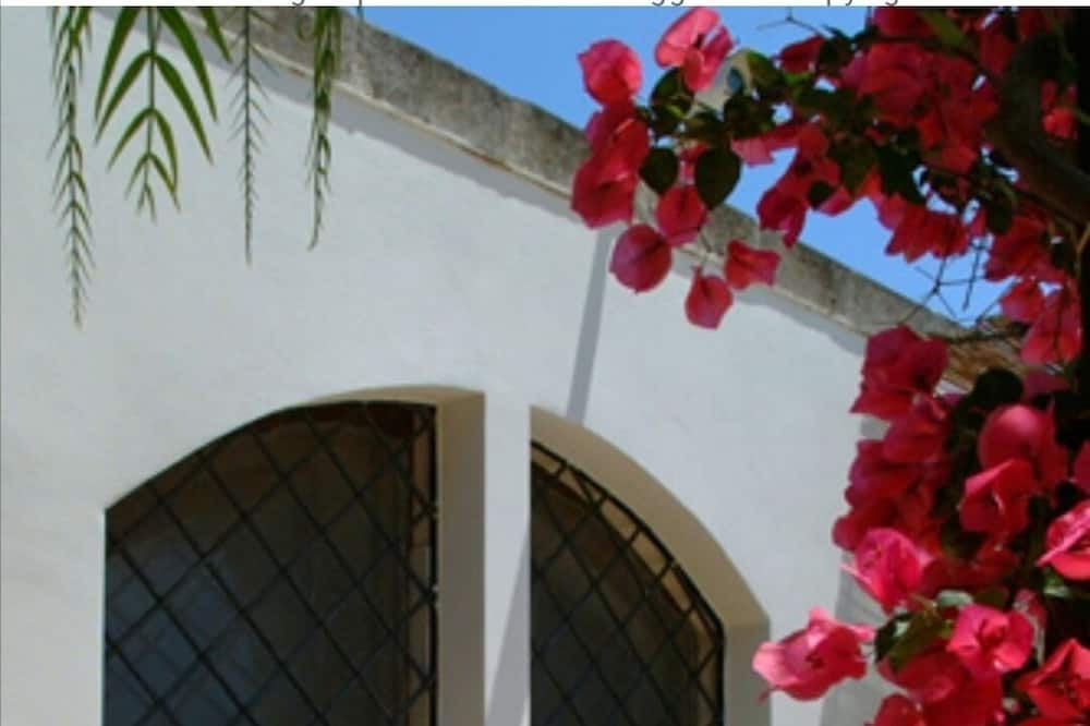 Photo of Patio Balcony in Rosa Marina