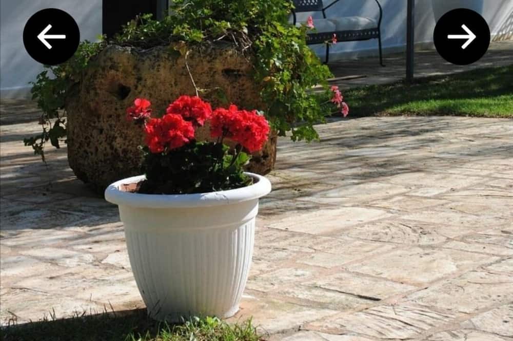 Photo of Outdoor in Rosa Marina