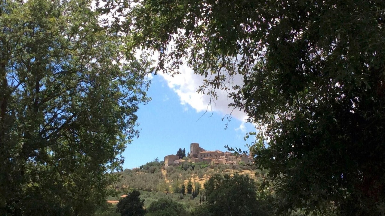 Photo of Others in Montemerano