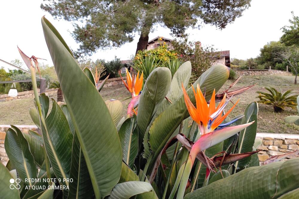 Photo of Outdoor in Civitavecchia