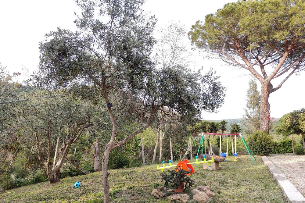 Photo of Outdoor in Civitavecchia