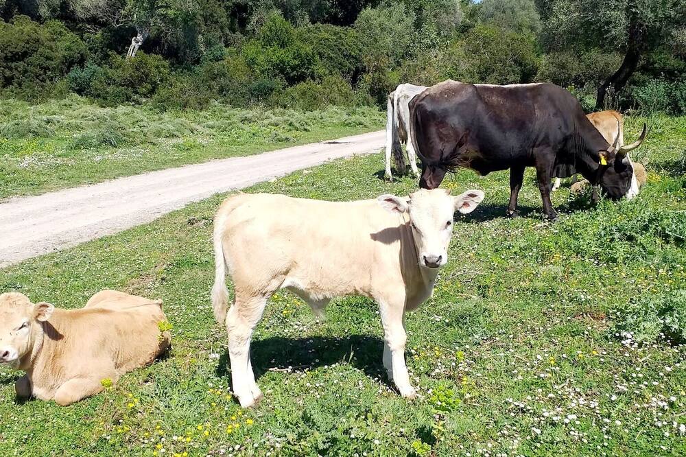 Photo of Outdoor in Civitavecchia