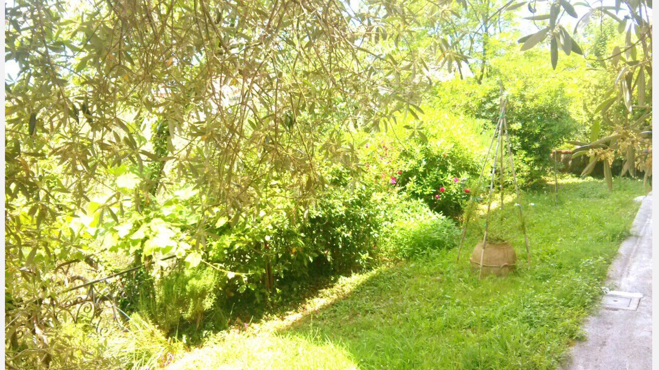 Photo of Outdoor in Copersito