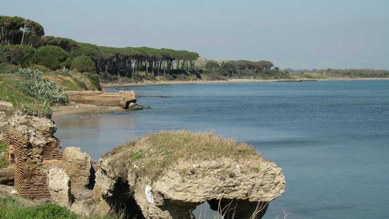 Photo of Others in Nettuno