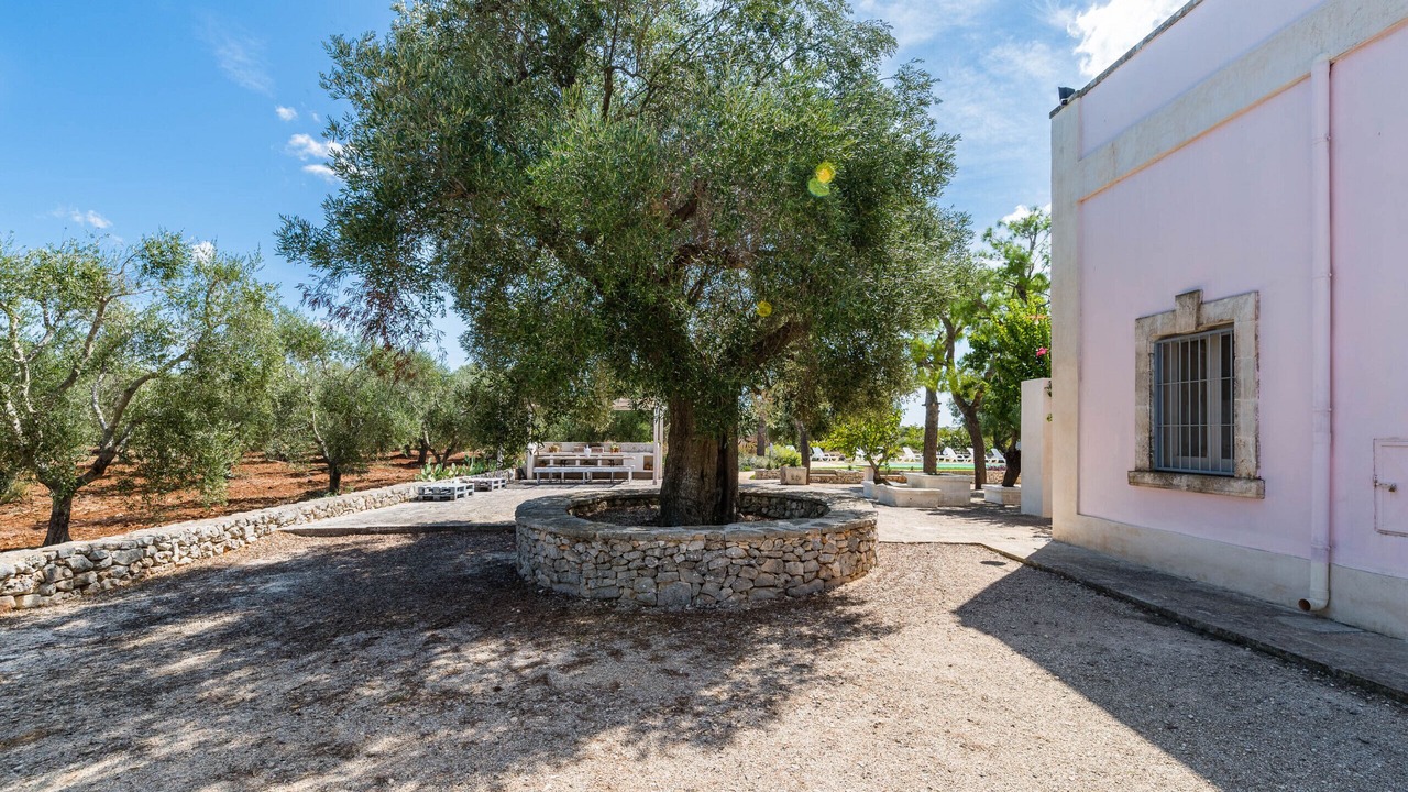 Photo of Outdoor in Carovigno
