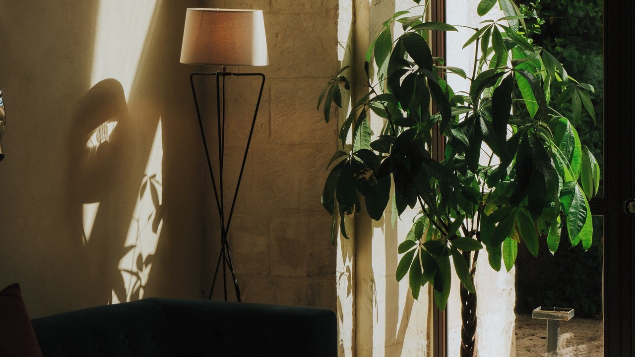 Photo of Others in Lecce