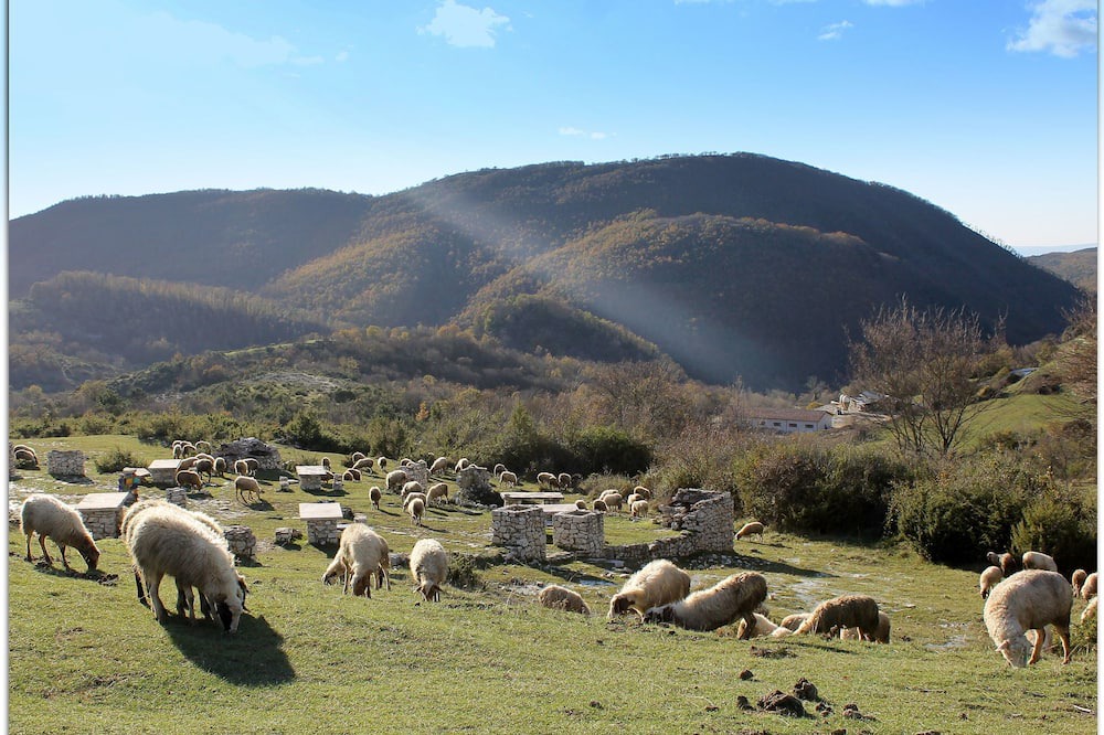Photo of Others in Selci