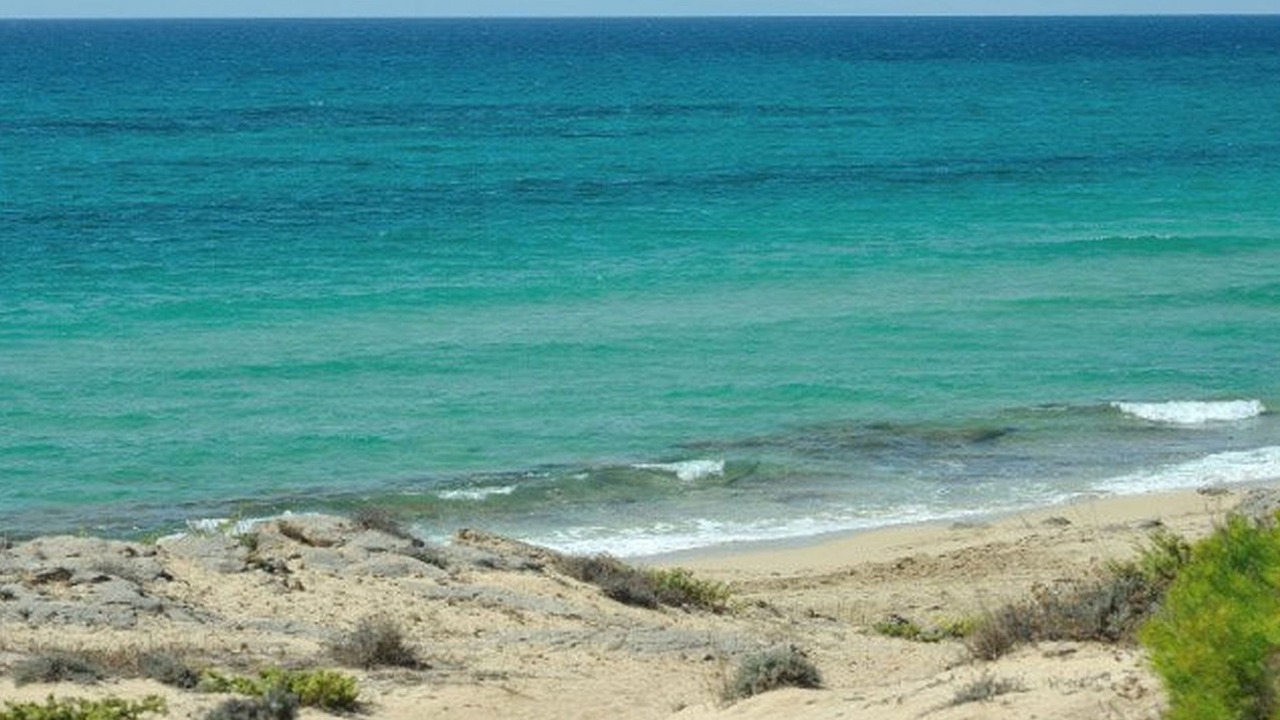 Photo of Others in Torricella