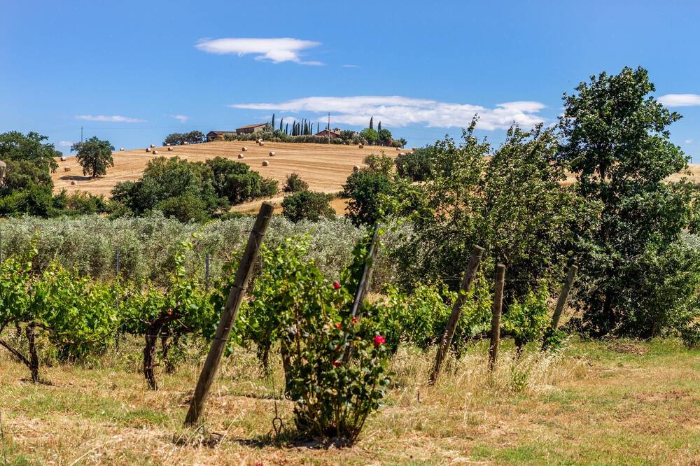 Photo of Outdoor in Grosseto