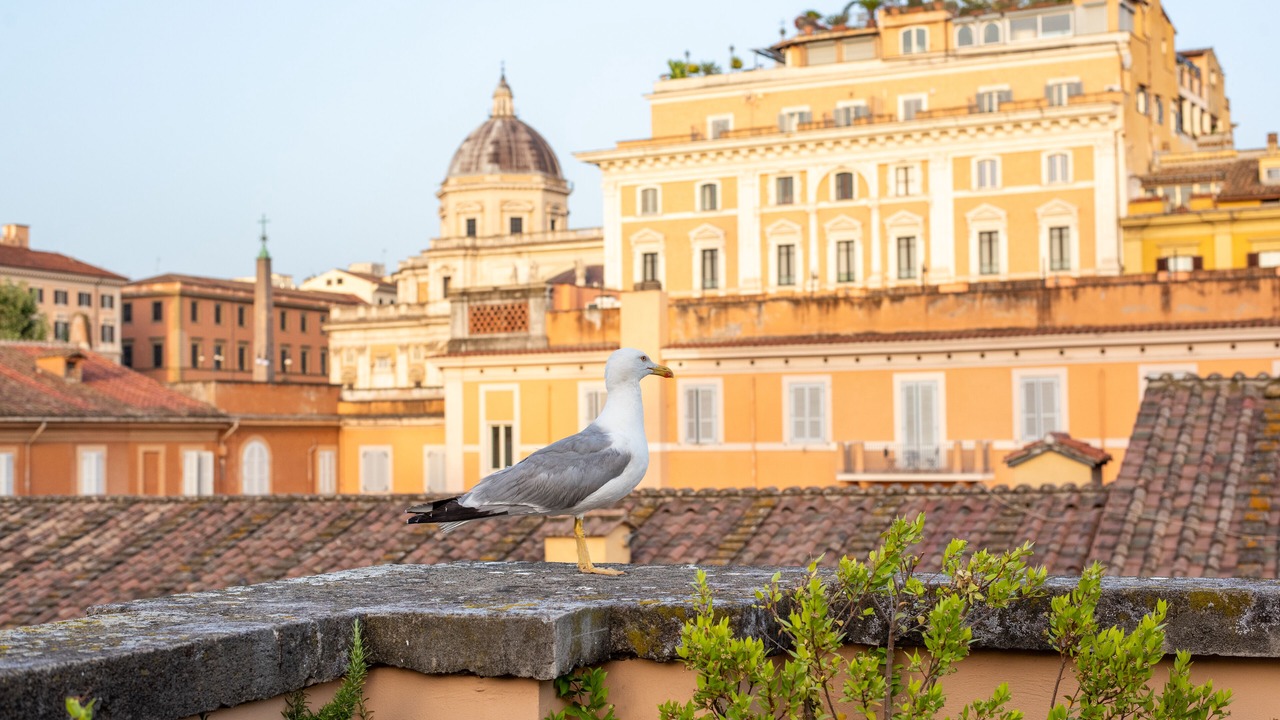 Photo of Outdoor in Monti