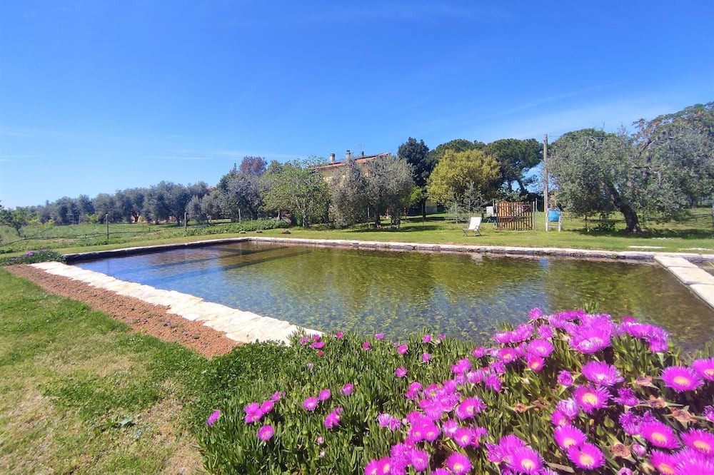 Photo of Others in Roccastrada