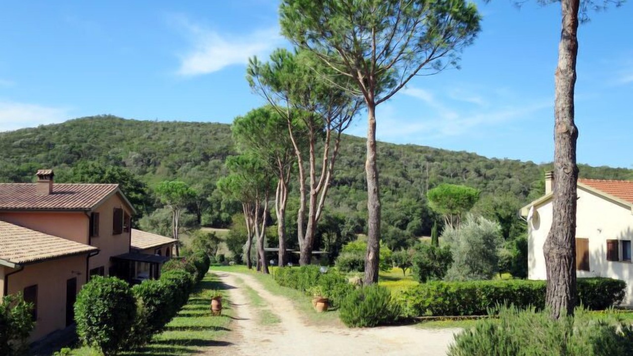 Photo of Outdoor in Montorsaio