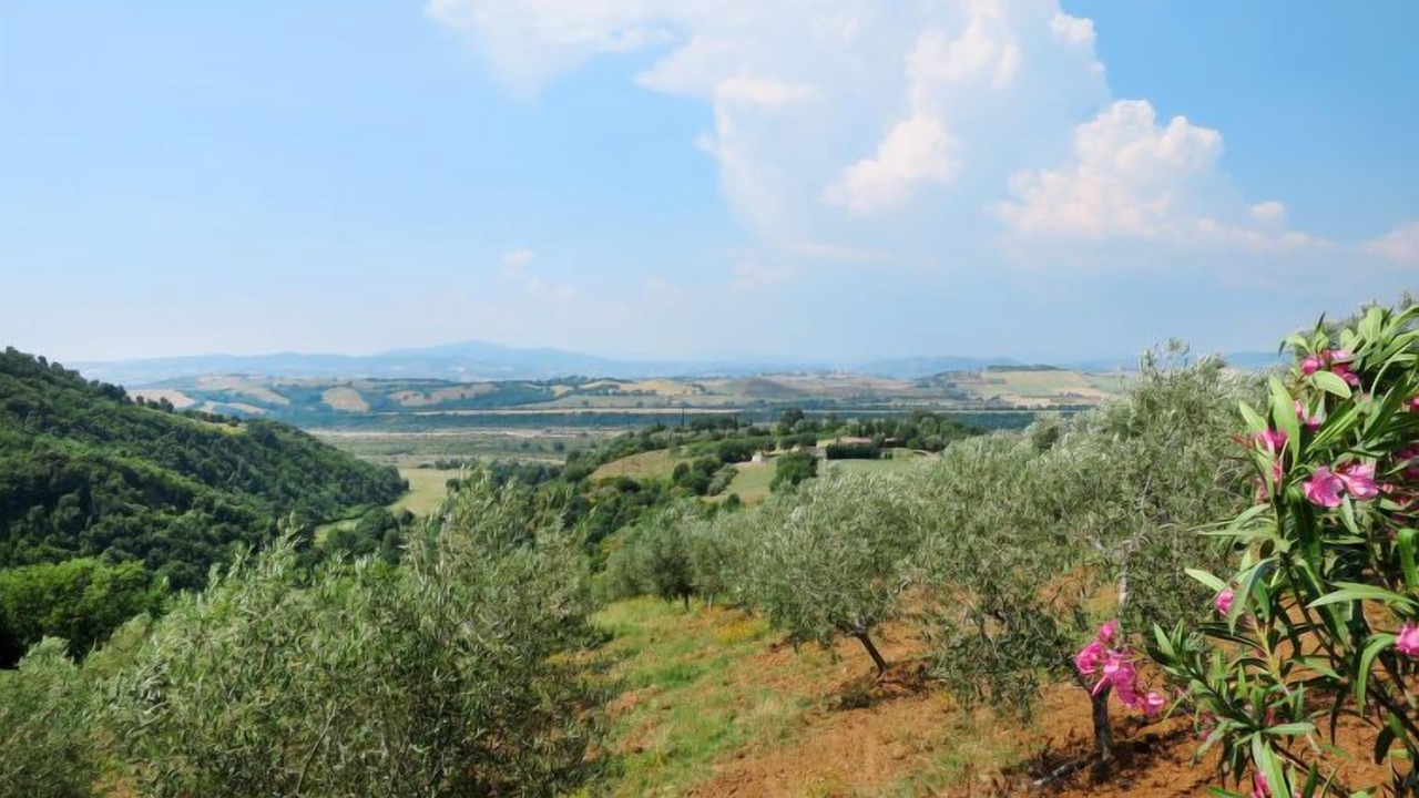 Photo of Outdoor in Scansano