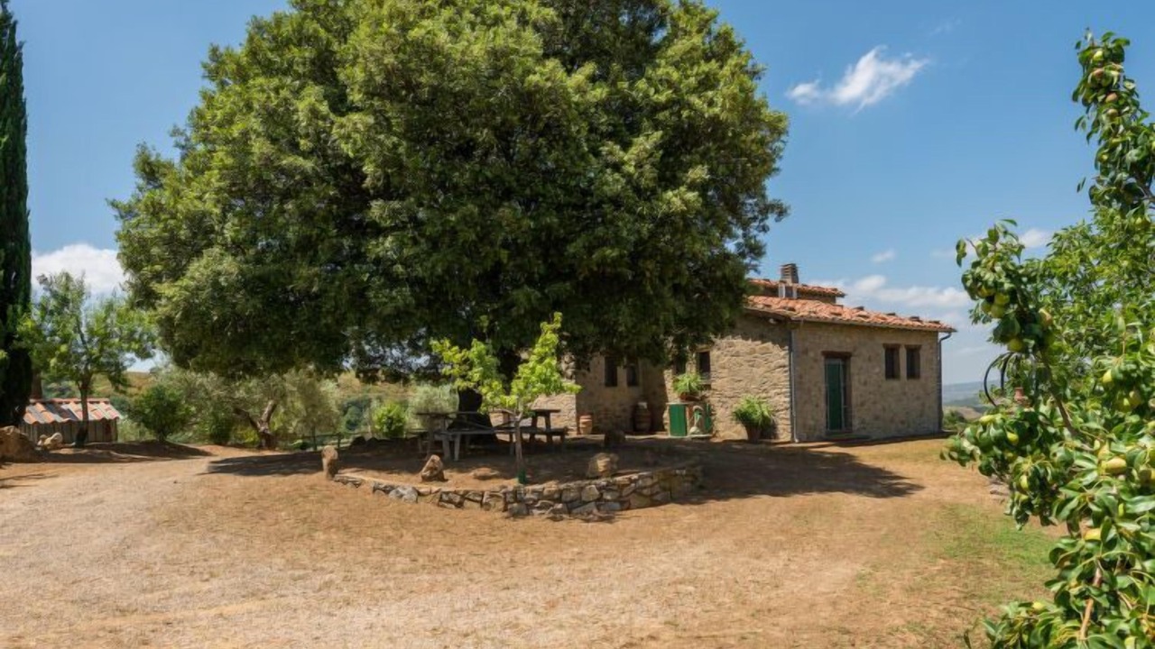 Photo of Outdoor in Scansano
