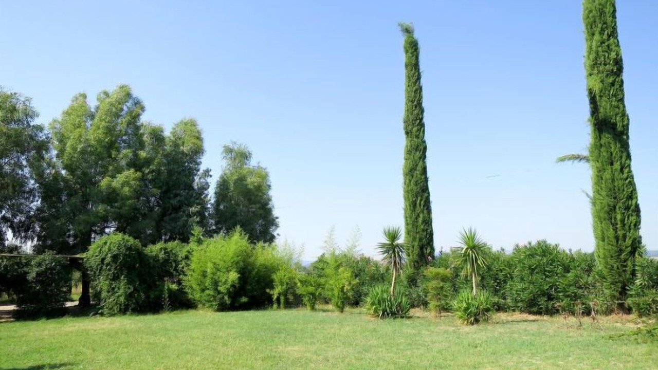 Photo of Others in Roccastrada