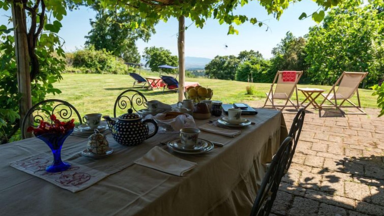 Photo of Outdoor in Scansano