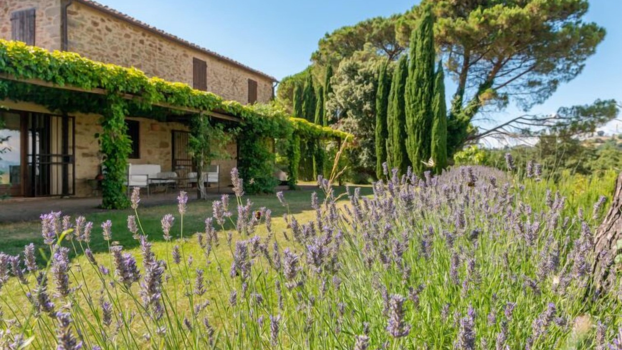 Photo of Outdoor in Scansano