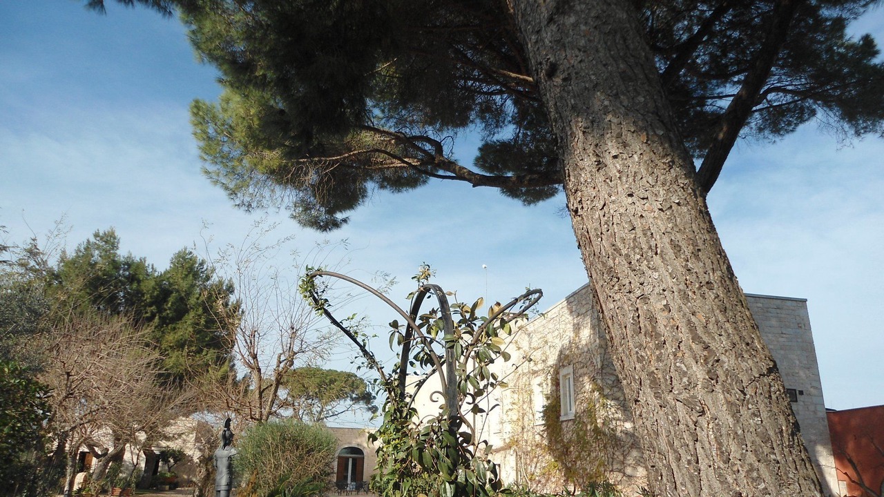 Photo of Outdoor in Conversano