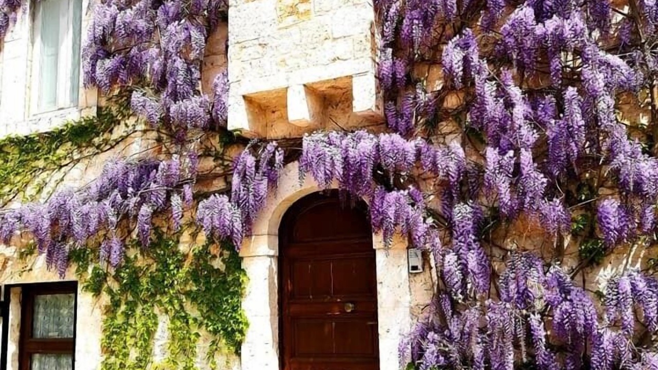 Photo of Outdoor in Conversano