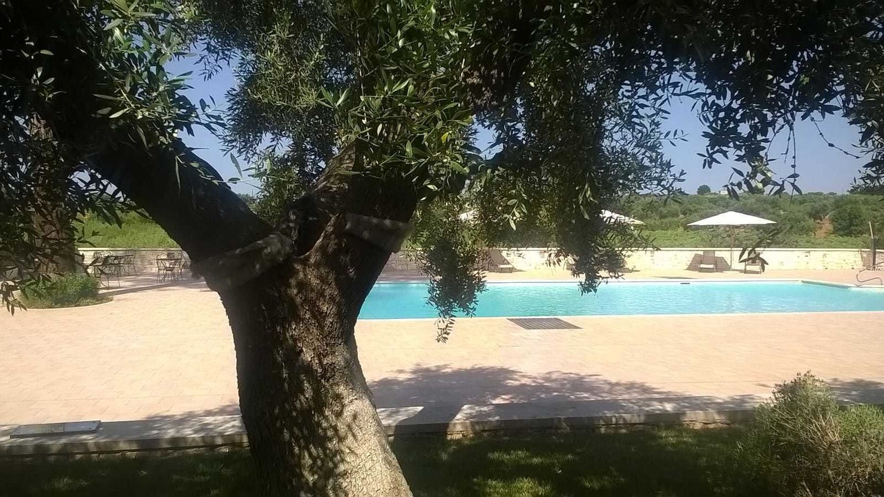 Photo of Outdoor in Conversano