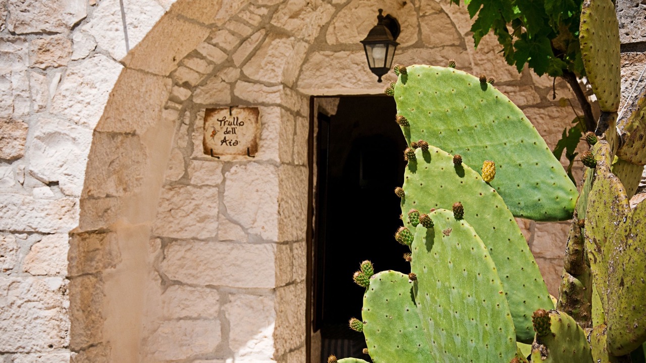 Photo of Outdoor in Martina Franca