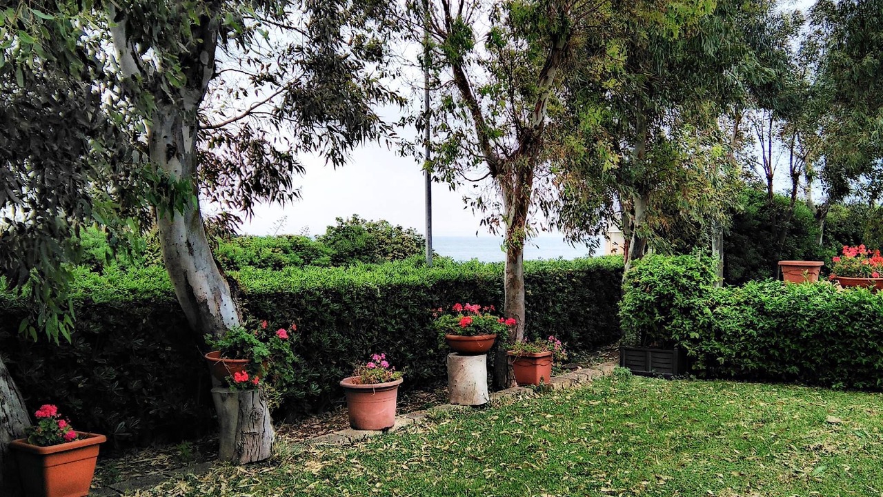 Photo of Outdoor in Civitavecchia