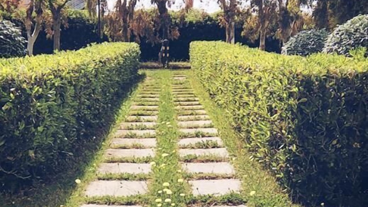 Photo of Outdoor in Civitavecchia