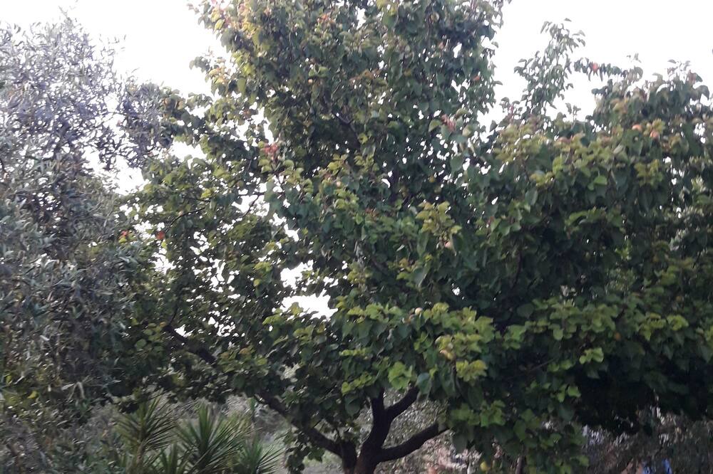 Photo of Outdoor in Barletta