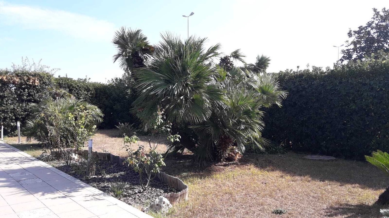 Photo of Outdoor in Municipio 5
