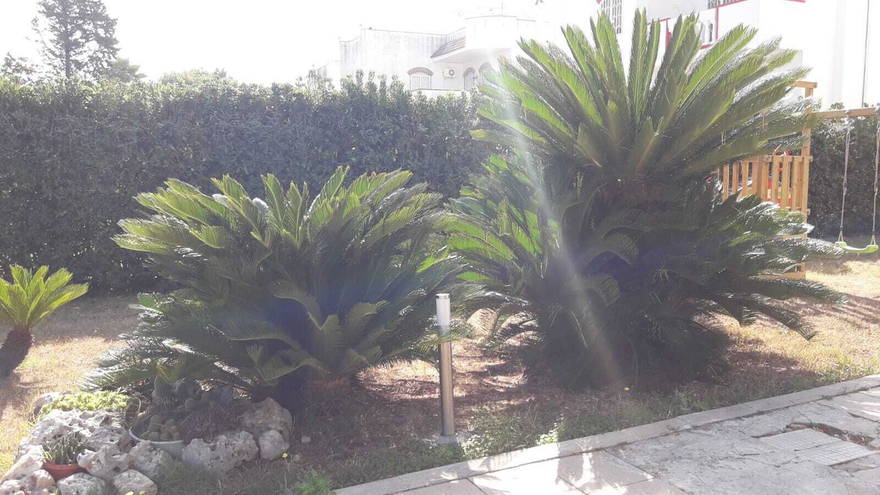 Photo of Outdoor in Municipio 5