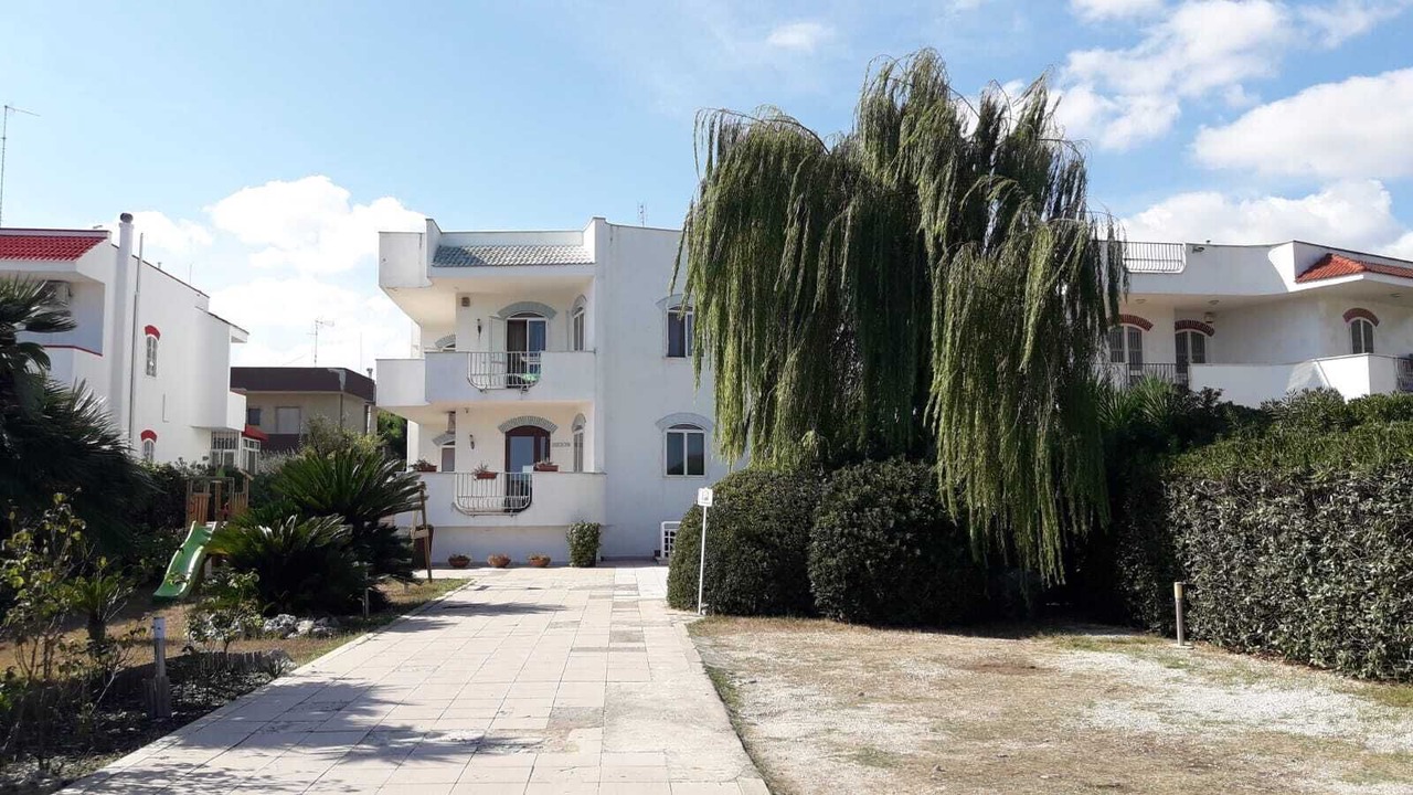 Photo of Outdoor in Municipio 5