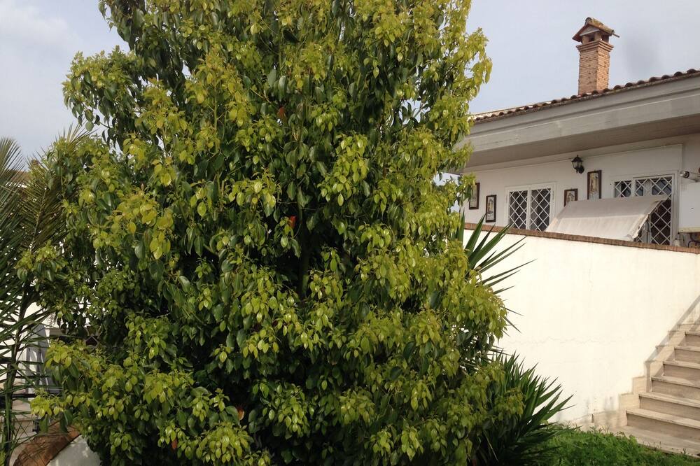 Photo of Outdoor in Zona XXX Castel Fusano
