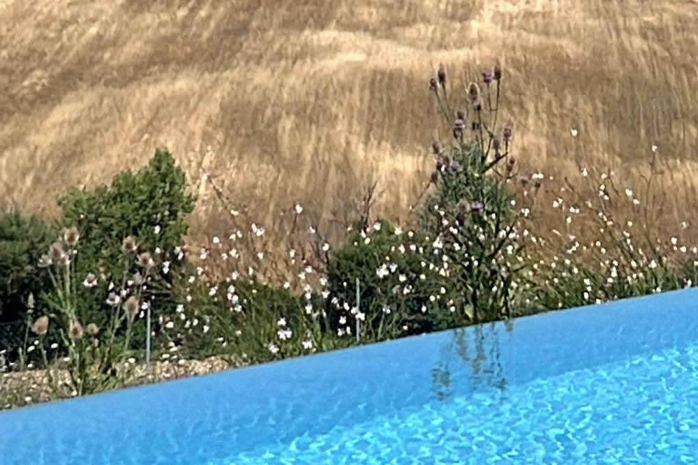 Photo of Outdoor in Chiusdino