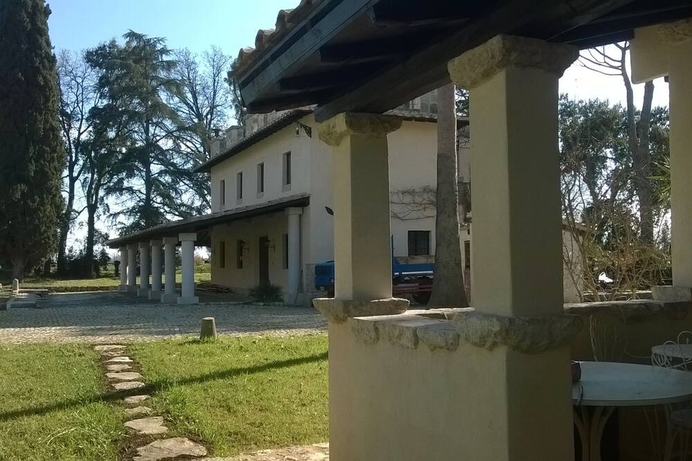 Photo of Others in Pontinia