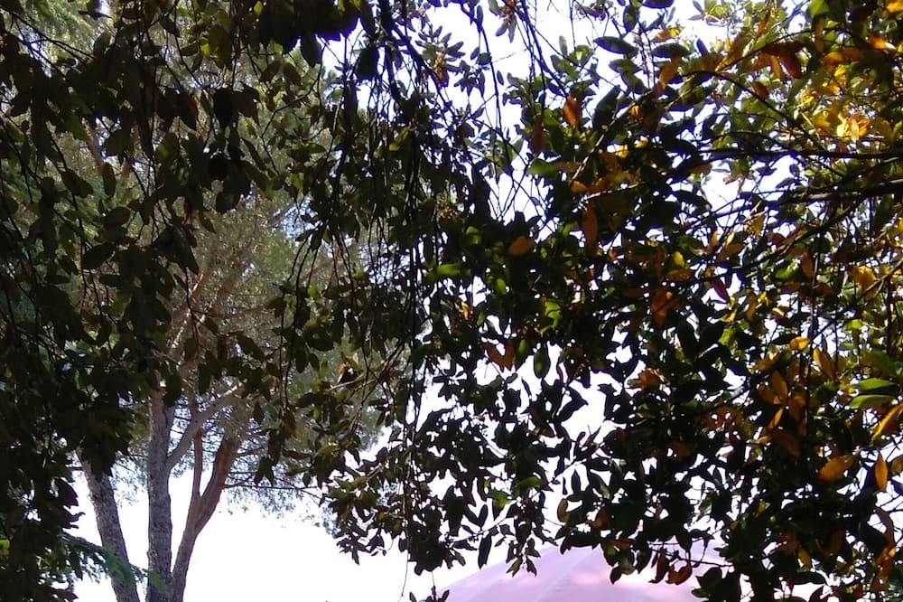 Photo of Outdoor in Amelia