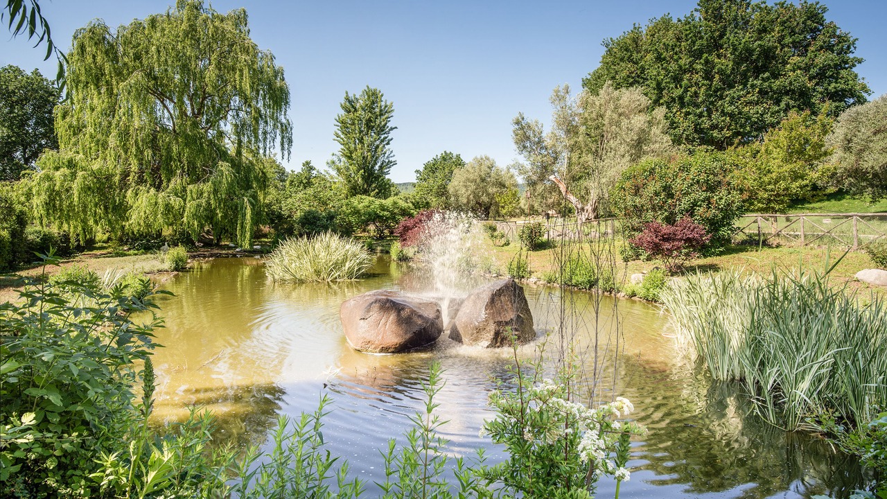 Photo of Outdoor in Sutri