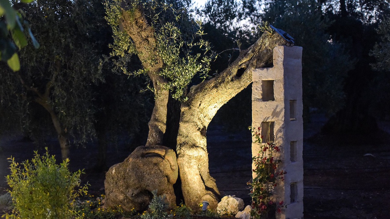 Photo of Outdoor in Ostuni