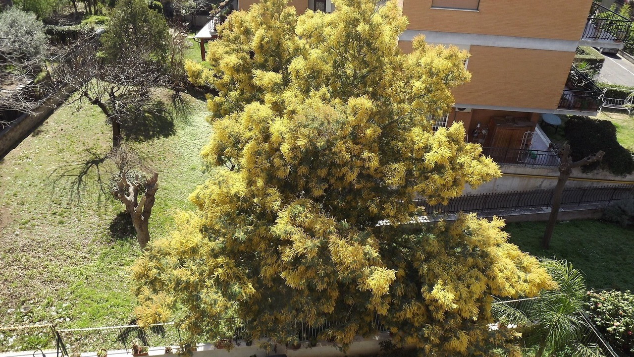 Photo of Outdoor in Quartiere XXVII Primavalle