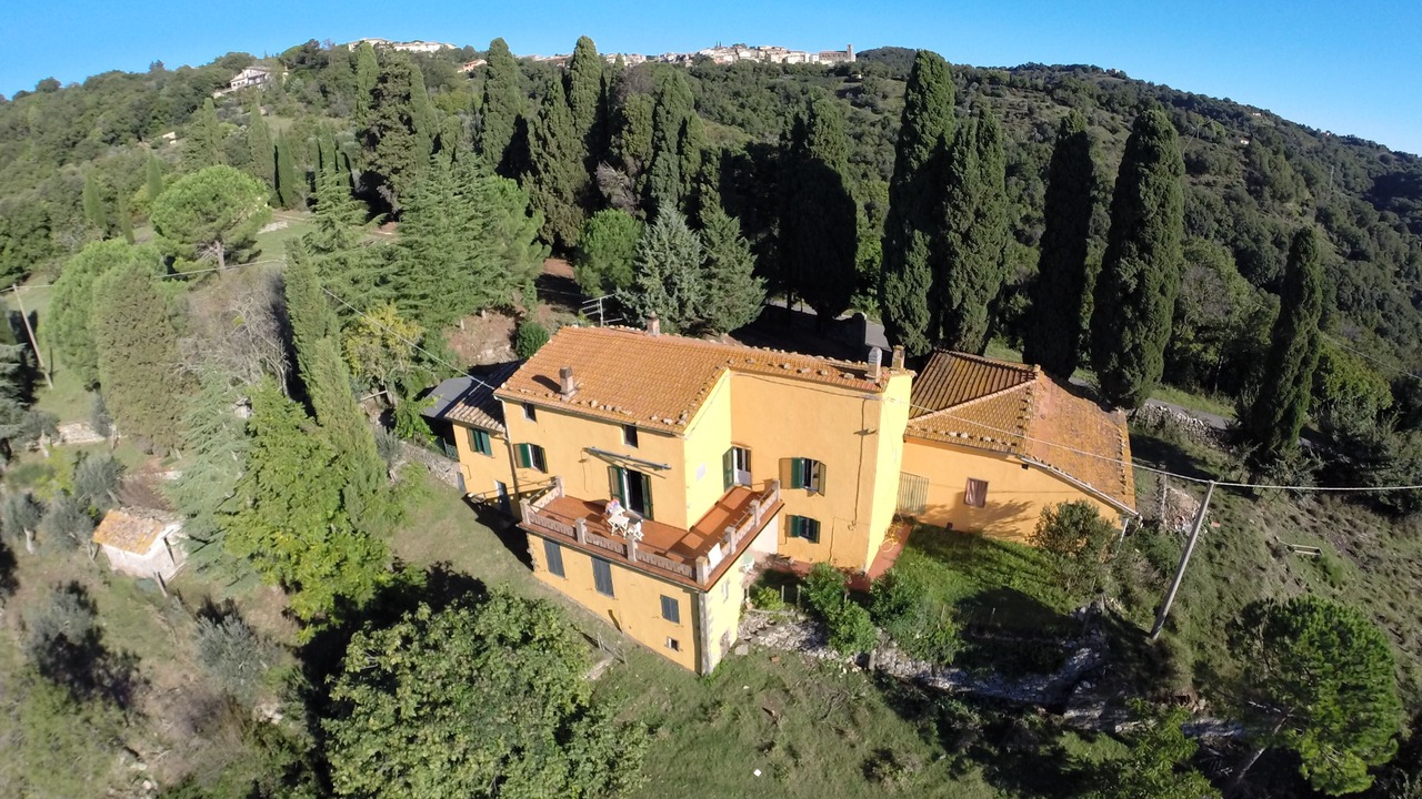 Photo of Outdoor in Scansano