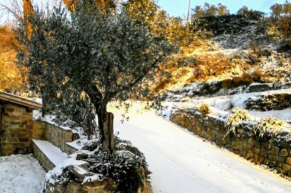 Photo of Outdoor in Collemancio