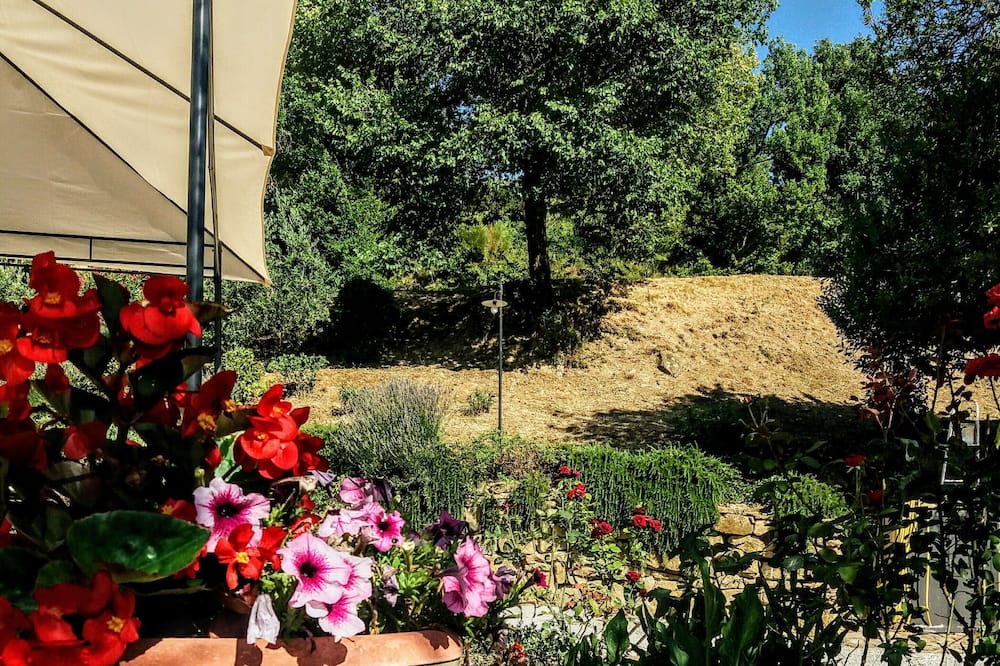 Photo of Outdoor in Collemancio