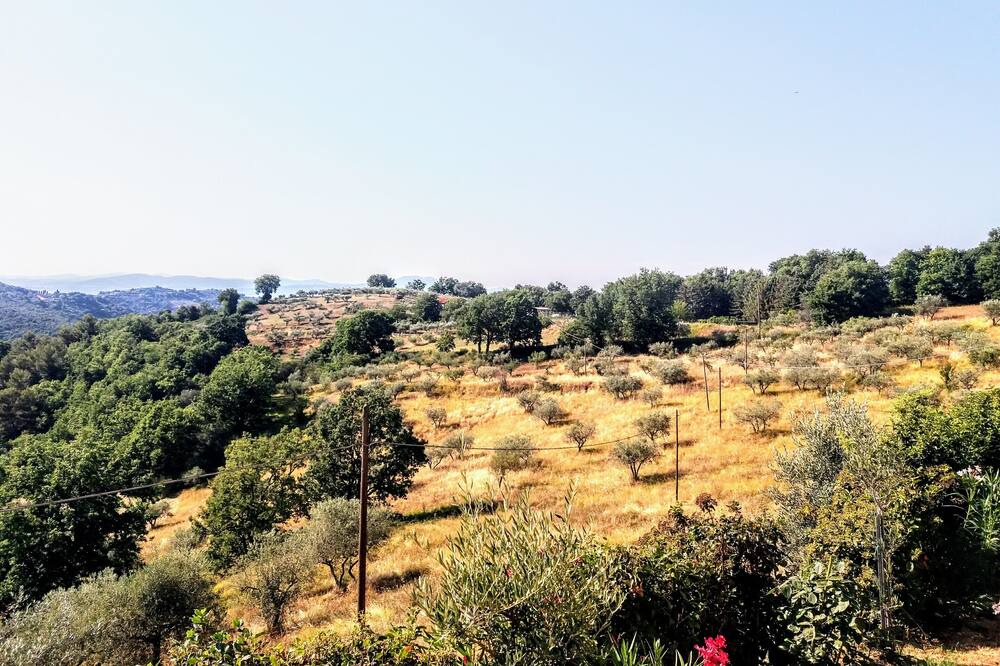 Photo of Outdoor in Collemancio