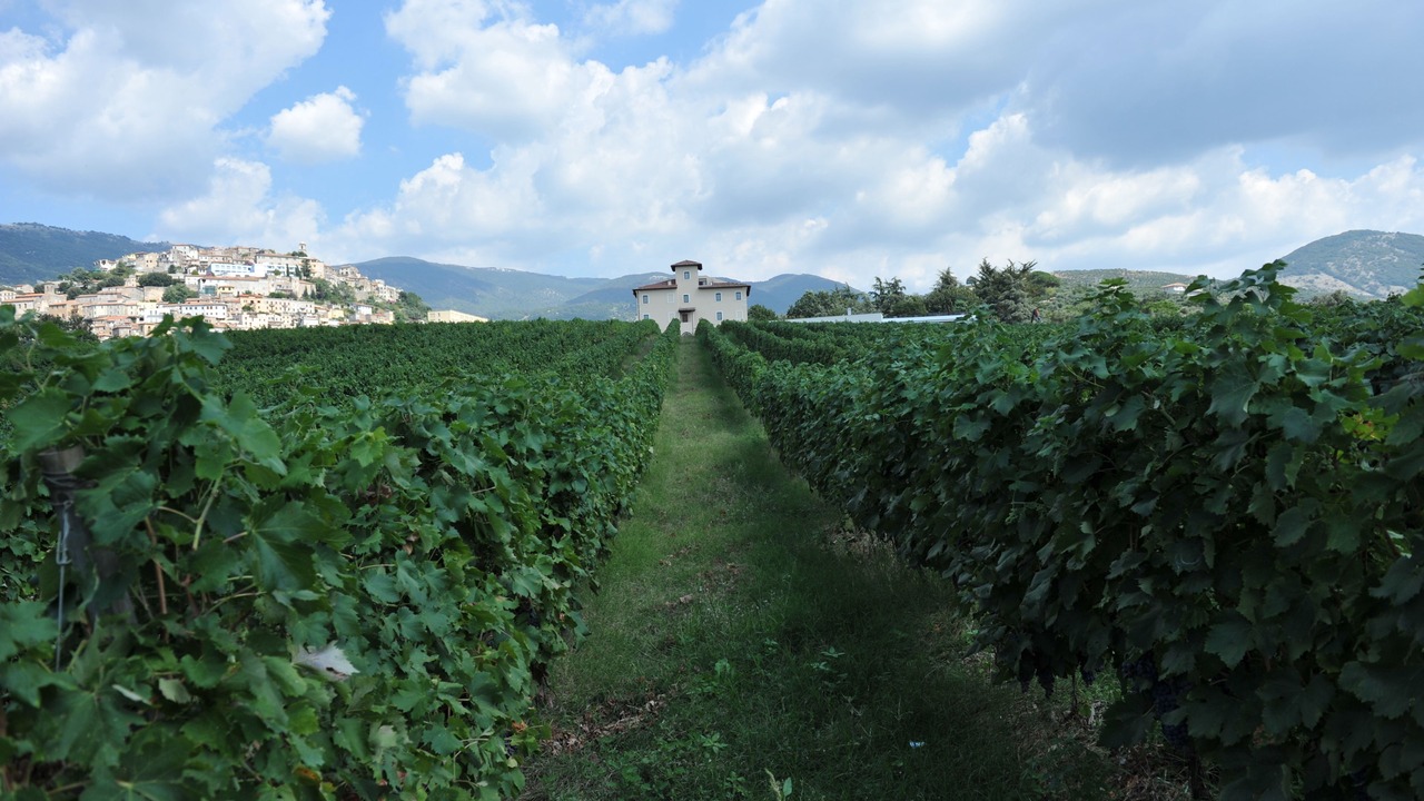 Photo of Outdoor in Cori