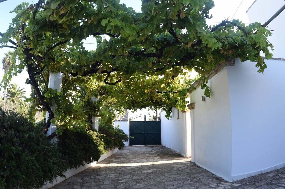 Photo of Outdoor in Alezio