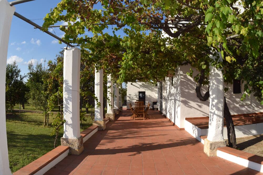 Photo of Outdoor in Alezio