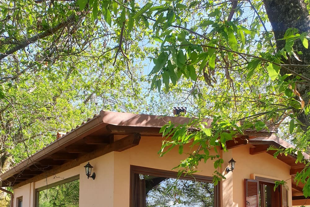 Photo of Outdoor in Segni